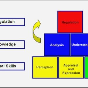 A XFEM Phase Change Model with Convection